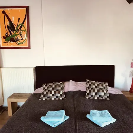 Studio De Halte 32a 아파트 잔드보르트